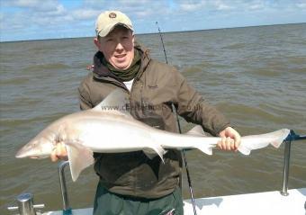 18 lb 8 oz Smooth-hound (Common) by Anthony Parry