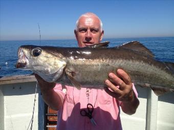 16 lb Pollock by Adrian