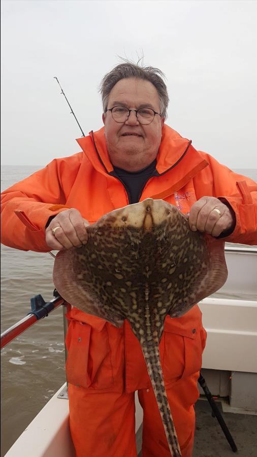 5 lb Thornback Ray by Robin