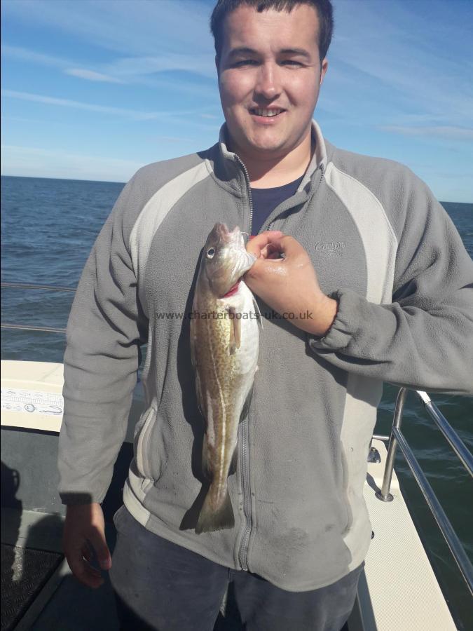 2 lb 9 oz Cod by Will heslop