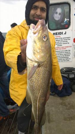 8 lb Cod by ray from manchester