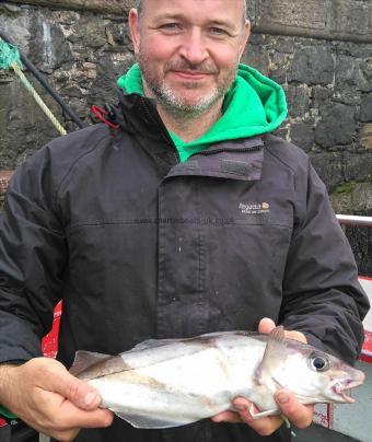 3 lb Haddock by welsh dave