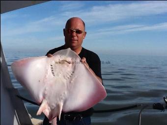 15 lb Thornback Ray by The skipper