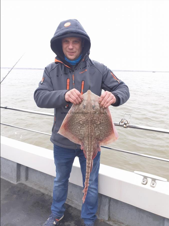 7 lb 8 oz Thornback Ray by Bob Marshall