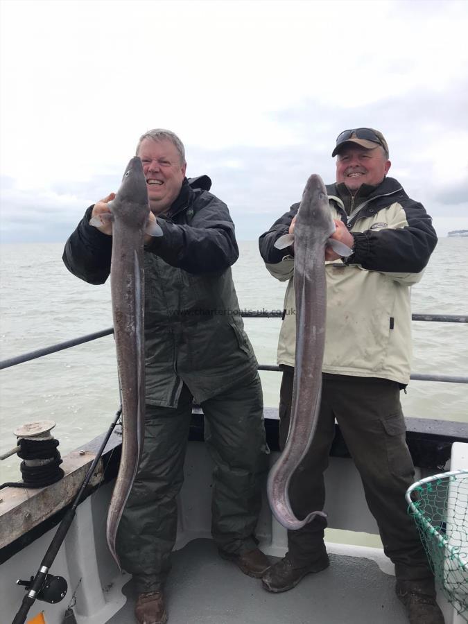 12 lb Conger Eel by Unknown