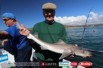 8 lb Starry Smooth-hound by Richard