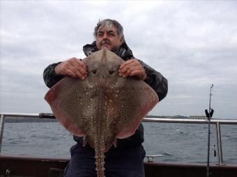 11 lb 8 oz Thornback Ray by IL Duce