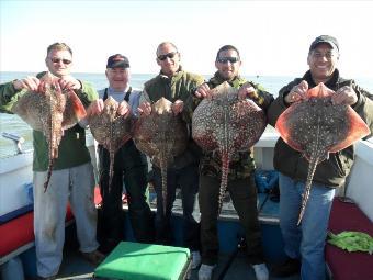 11 lb Thornback Ray by John the Scaffolder