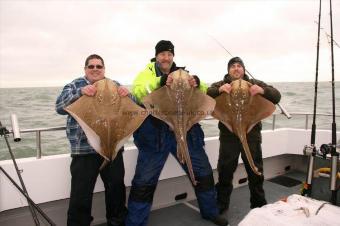 23 lb Blonde Ray by Unknown