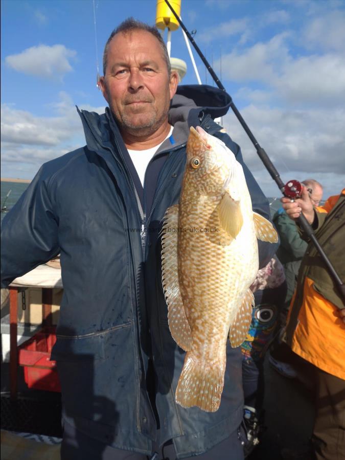 3 lb Ballan Wrasse by Kevin