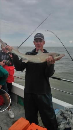 10 lb 4 oz Starry Smooth-hound by jon davies