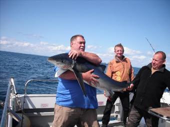 52 lb 8 oz Blue Shark by Unknown