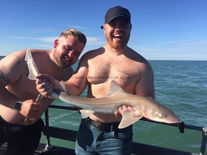 6 lb Smooth-hound by Unknown