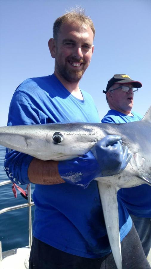 68 lb Blue Shark by JOHN NICHOLLS