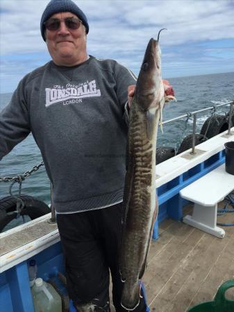 8 lb Ling by mogger from chesterfield 13th may 2015