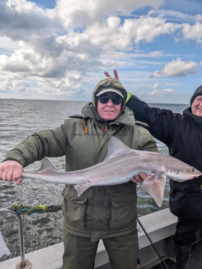 10 lb 5 oz Smooth-hound (Common) by Leon