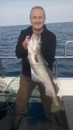 8 lb 7 oz Pollock by Gary