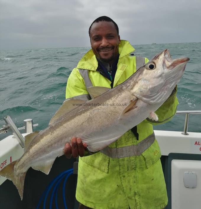 11 lb 3 oz Pollock by will