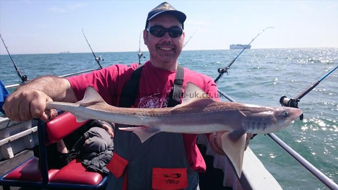 5 lb 3 oz Starry Smooth-hound by Terry from Kent