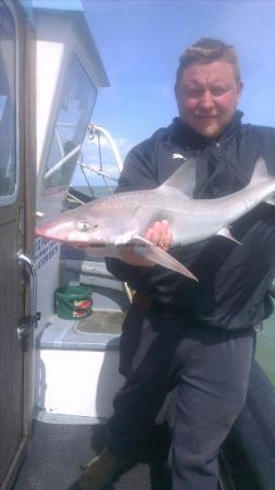 8 lb 4 oz Starry Smooth-hound by paul from dover