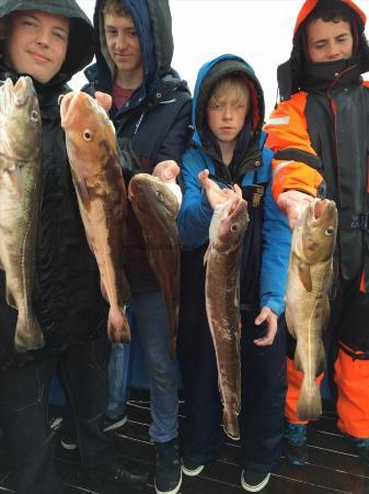 6 lb Cod by bridlington lads ,reece and mates 29/5/ 2015
