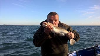 5 lb Cod by Stephen Wake