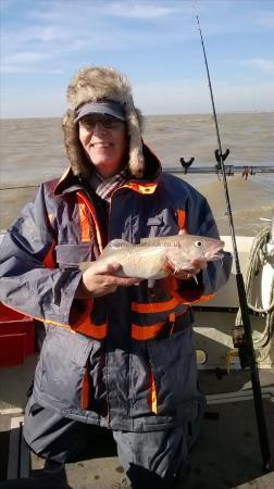 2 lb 5 oz Cod by roger berry