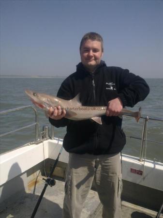 11 lb 8 oz Smooth-hound (Common) by cameron stewart