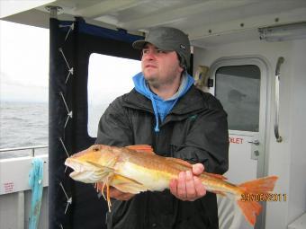 4 lb 13 oz Tub Gurnard by Unknown