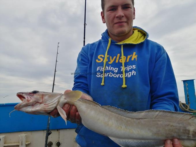 8 lb Ling by Unknown