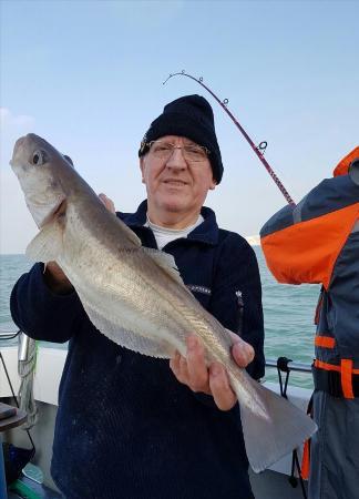 3 lb Whiting by Mike Cole