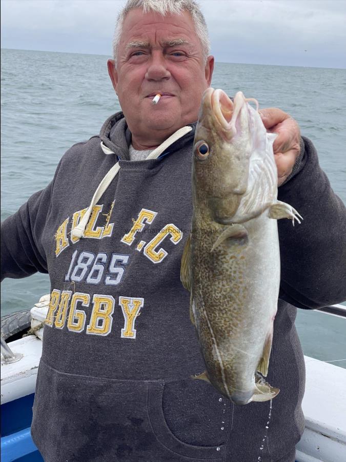 5 lb Cod by Bob from hull today 13 th july