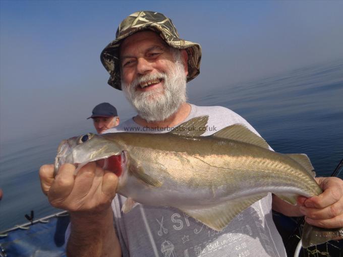 7 lb 3 oz Pollock by wreck pollack