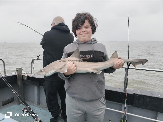 11 lb 8 oz Smooth-hound by Jack