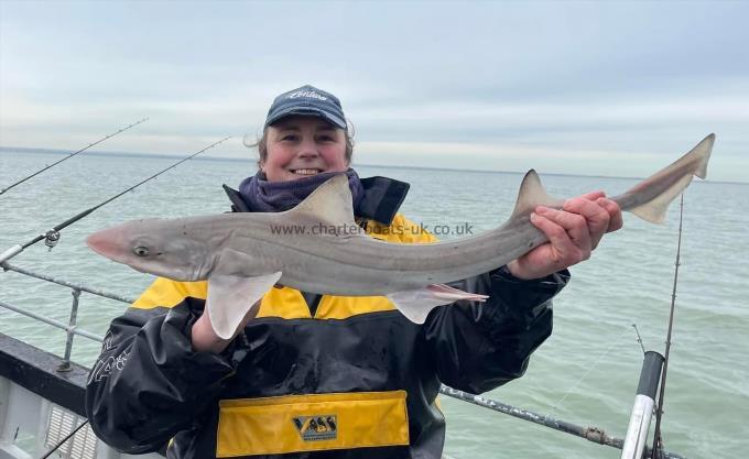 5 lb Smooth-hound (Common) by Unknown