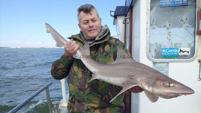 15 lb Starry Smooth-hound by Karl from London