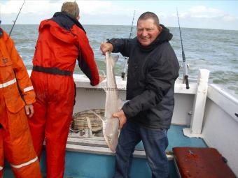 10 lb 2 oz Starry Smooth-hound by Tel