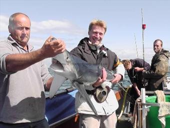 50 lb Blue Shark by Cookie