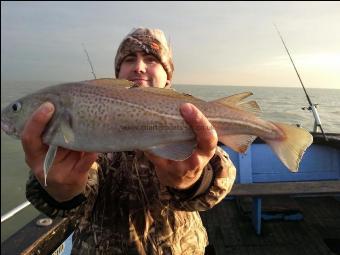 3 lb Cod by Stuart