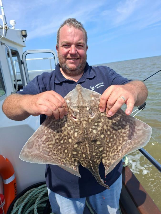 6 lb Thornback Ray by James