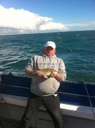 2 lb Ballan Wrasse by Unknown