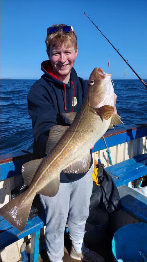 7 lb 1 oz Cod by Unknown