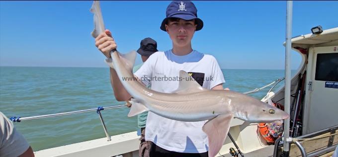 9 lb Starry Smooth-hound by John