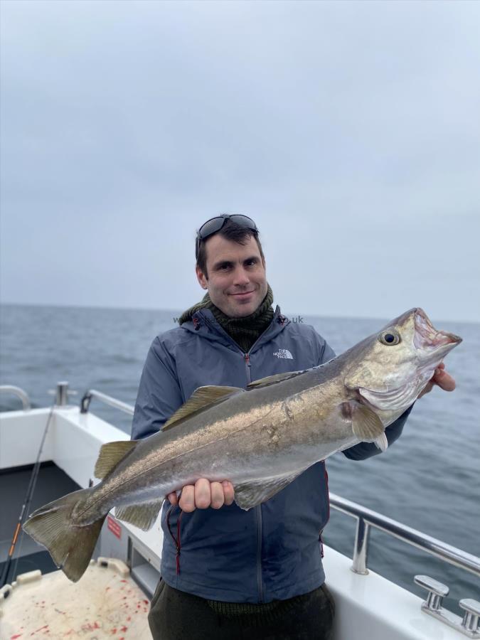 12 lb 8 oz Pollock by Unknown