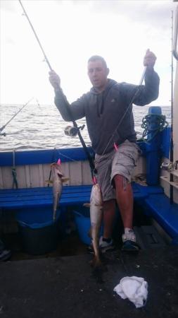 5 lb 7 oz Pollock by Unknown