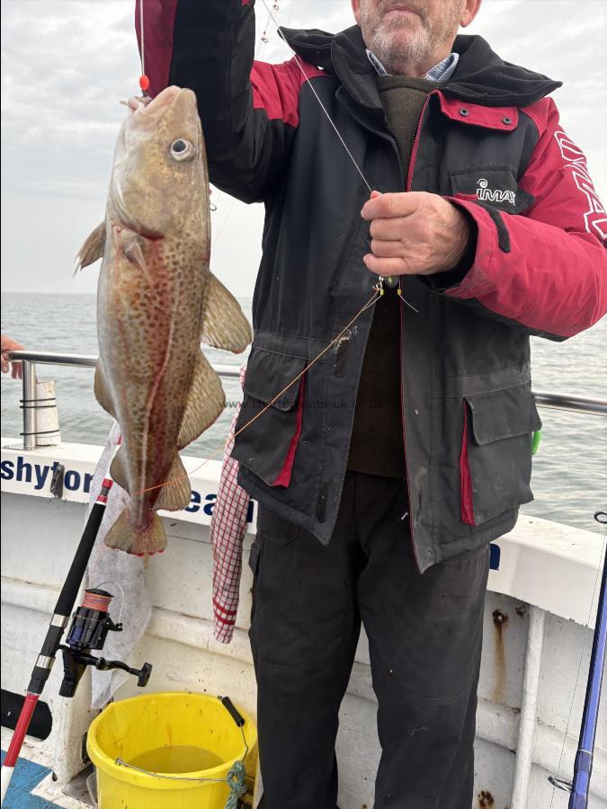 3 lb 8 oz Cod by Derek.