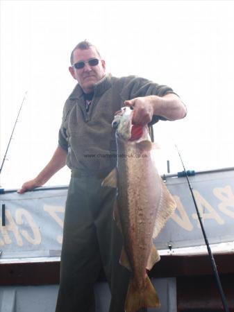 13 lb 4 oz Pollock by Unknown