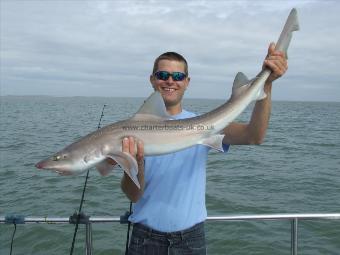 2 oz Smooth-hound by Unknown