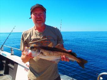 4 lb 9 oz Pollock by Kev McAvoy from York.