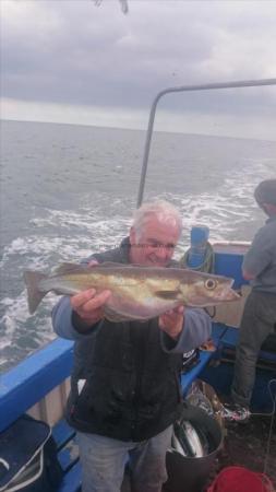 3 lb 8 oz Pollock by Unknown